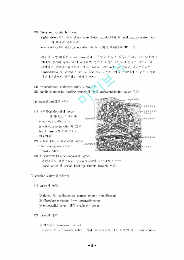 [조직학] 심장순환계의 조직학 (Histology of Cardiovascular System).hwp